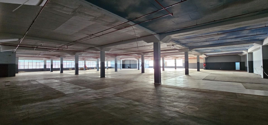 To Let commercial Property for Rent in Elsies River Industrial Western Cape
